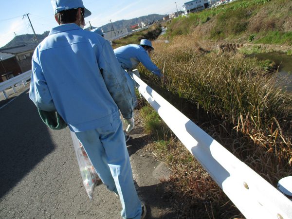 クリーン有田川運動に参加する本社従業員